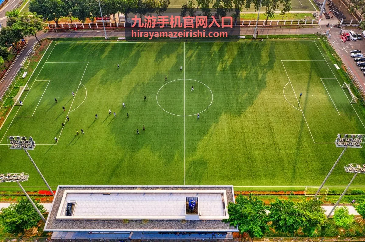 九游手机官网入口手机端页面结构示意