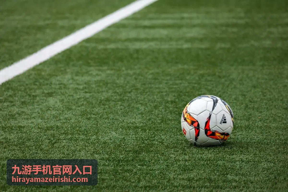 九游手机官网入口地址核对提示卡