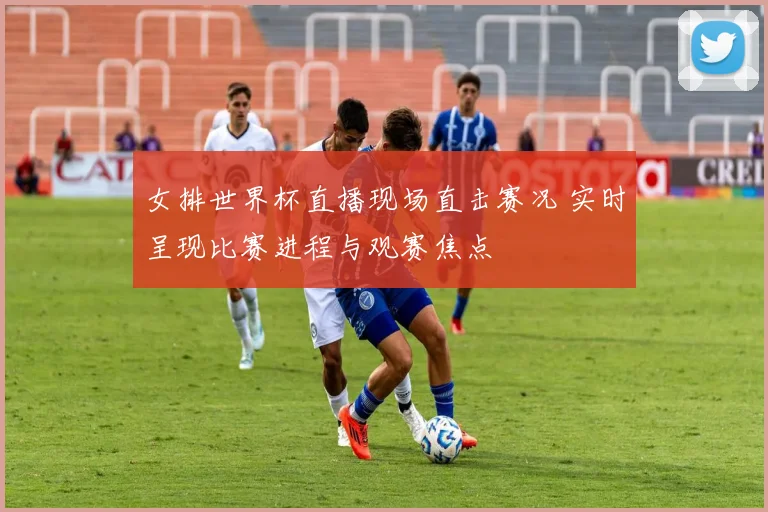 女排世界杯直播现场直击赛况 实时呈现比赛进程与观赛焦点