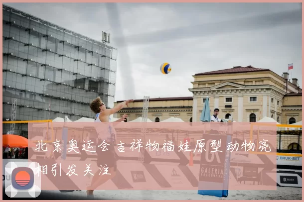 北京奥运会吉祥物福娃原型动物亮相引发关注