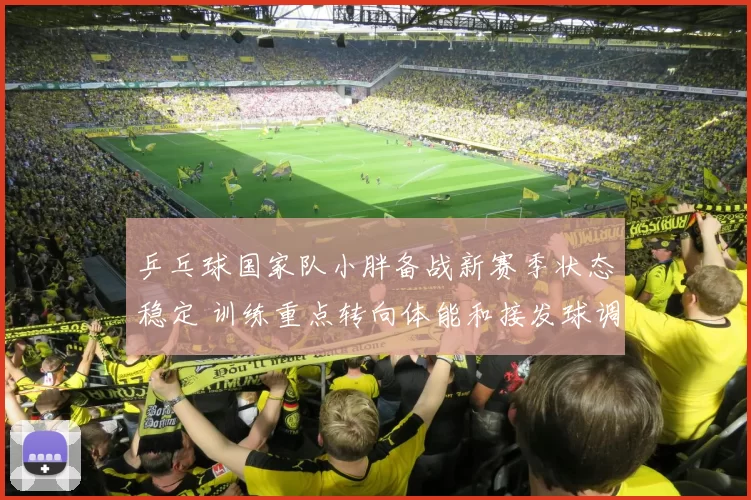 乒乓球国家队小胖备战新赛季状态稳定 训练重点转向体能和接发球调整